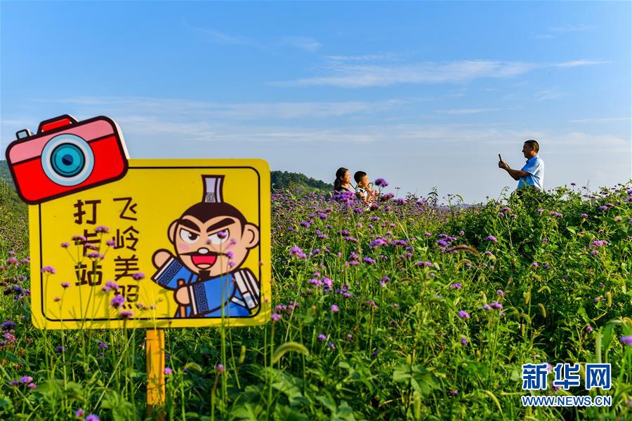 （社会）（3）我的暑期实践报告——跟着爸妈去驻村