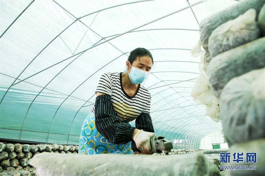 #（社会）（4）重庆黔江：“搬”来的幸福生活