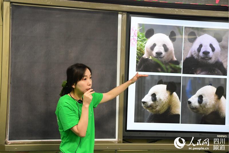 熊猫中心科普讲解老师。中国大熊猫保护研究中心供图