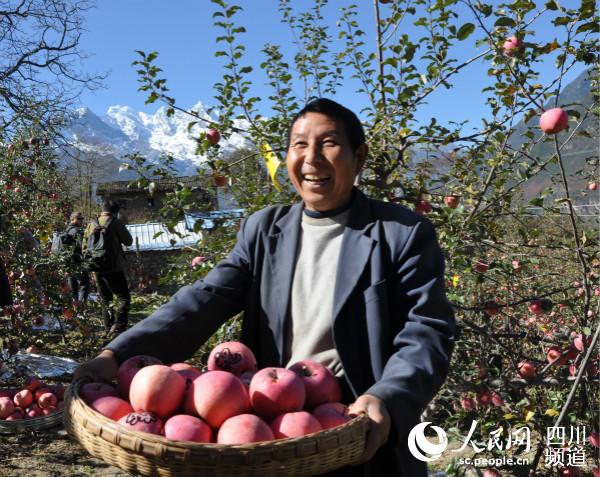 配图：康定苹果喜获丰收村民笑开颜。杨琦 摄