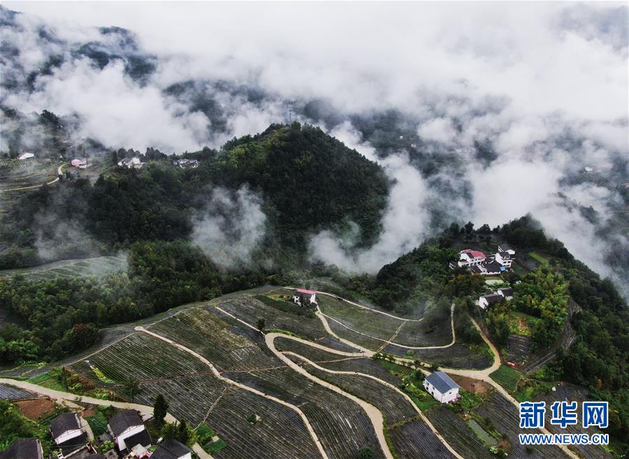 （美丽中国）（3）重庆开州：山村新貌
