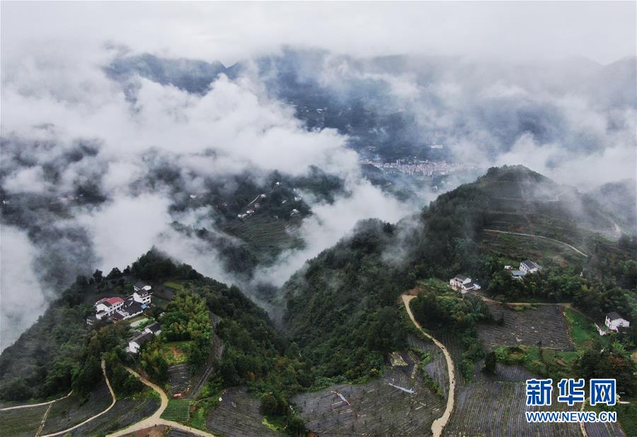（美丽中国）（5）重庆开州：山村新貌