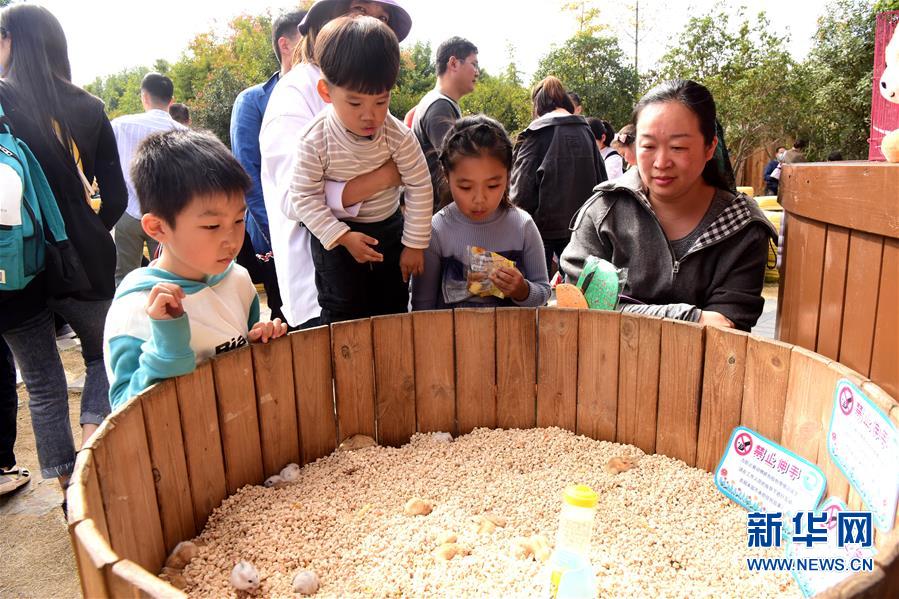 （新华视界）（4）“亲近动物”乐趣多