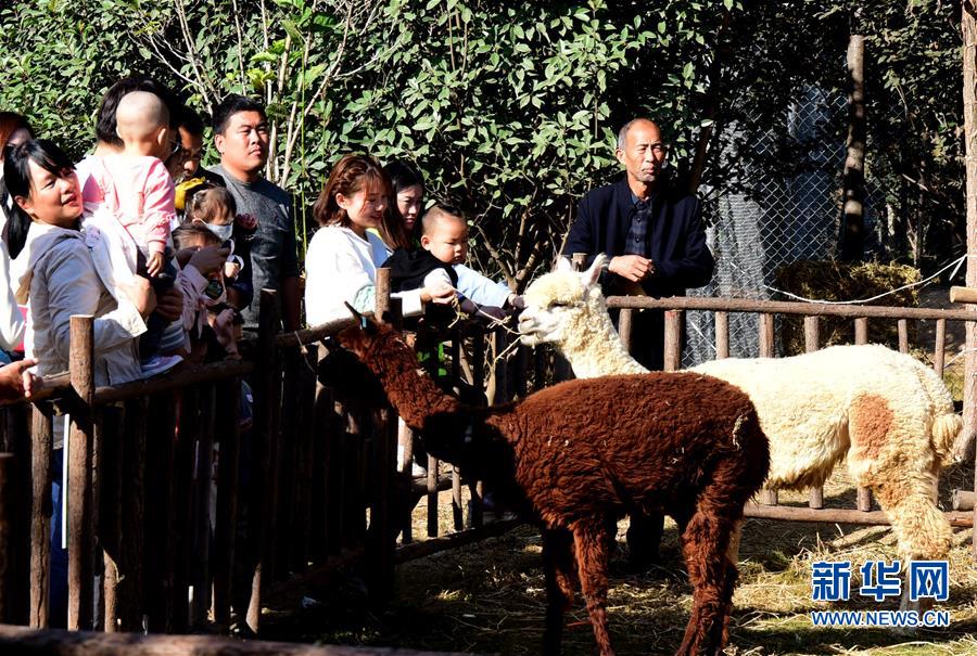 （新华视界）（2）“亲近动物”乐趣多