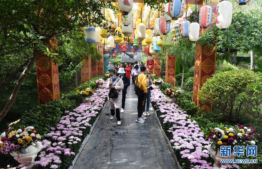 （文化）（3）河南开封：古城菊香迎客来