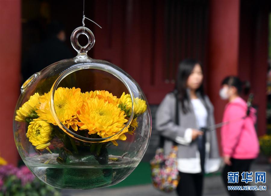 （新华视界）（3）河南开封：古城菊香迎客来