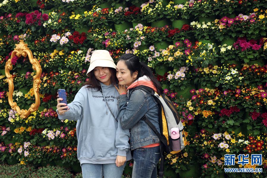 （新华视界）（7）河南开封：古城菊香迎客来