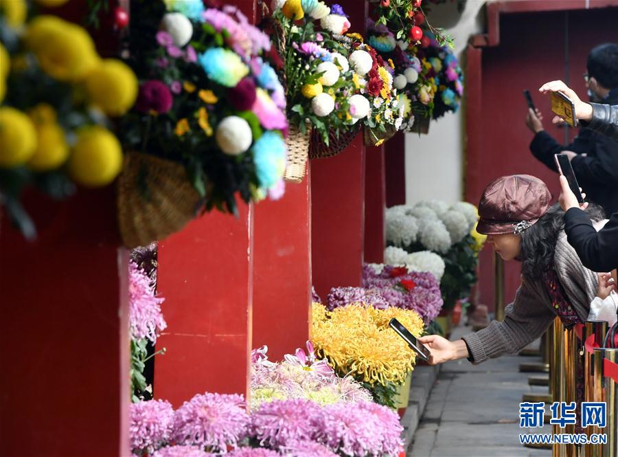 （新华视界）（2）河南开封：古城菊香迎客来