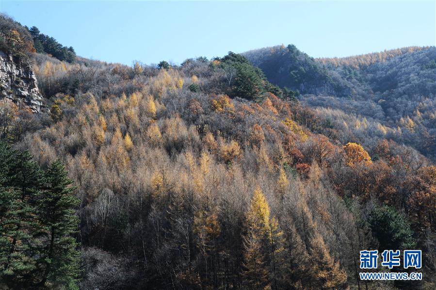 （环境）（2）山西霍州：山林“调色板”