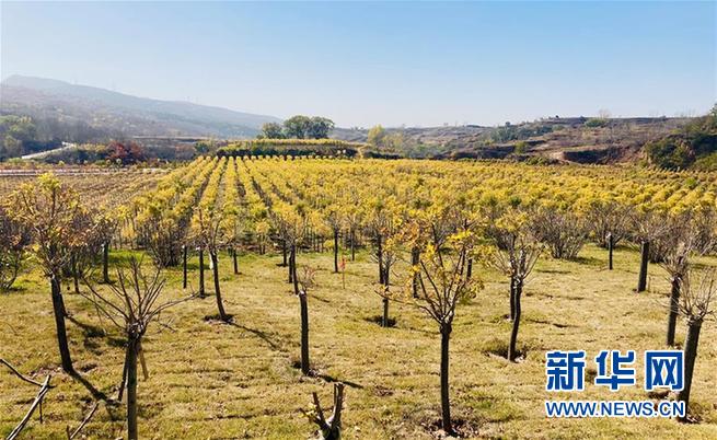 （决战决胜脱贫攻坚·图文互动）（4）太行画廊里的脱贫“黄金谷”