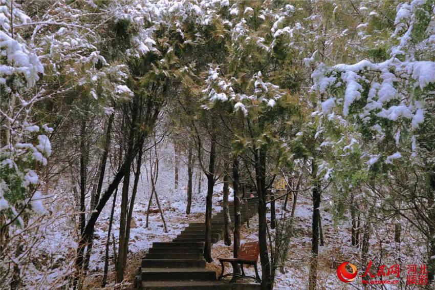 11月19日河北省承德市兴隆县北山公园雪景。宋佳宁摄