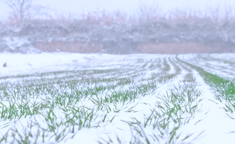 下雪后高速公路管制多久能解除？