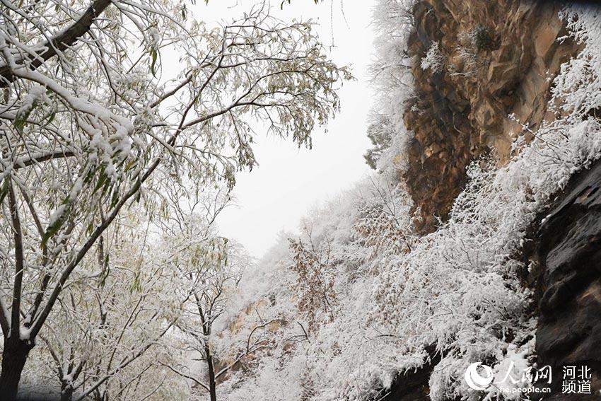 河北省邢台市云梦山雪景。 燕立涛摄