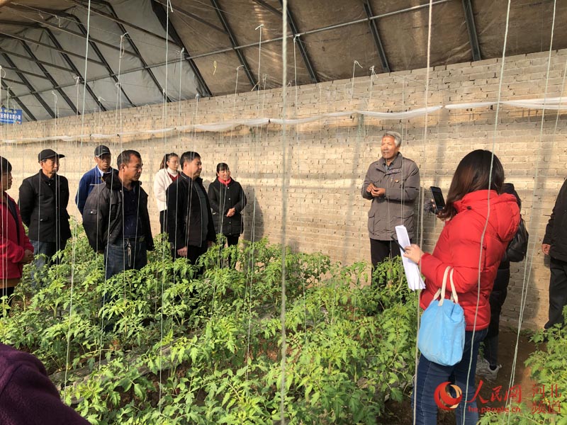 十九届五中全会精神义务宣讲员在蔬菜大棚里进行宣讲。 蒿俊林摄