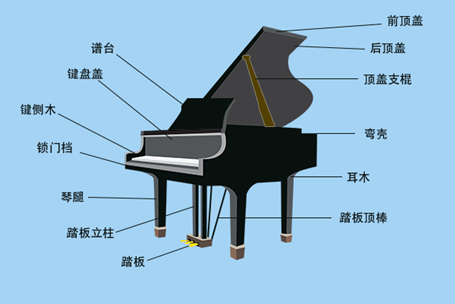 钢琴完整结构图图片