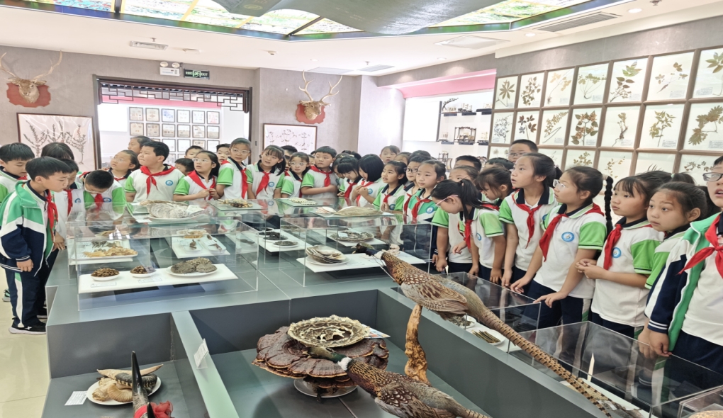 邯郸涉县新北关小学庆六一、学中医知识 ，走进涉县中医院中医药文化博物馆