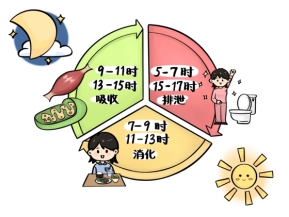 手把手教你缓解肠胃不适，备上和胃整肠丸更安心