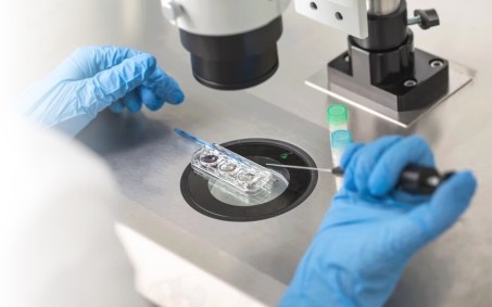 泰国试管婴儿养囊技术深度解析:如何选择合适的医院?