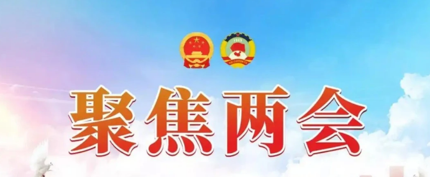 卢志平同志全票当选邯郸肥乡区人民检察院检察长