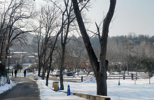 深耕农文旅融合，共绘乡村振兴新图景——蜂享振兴实践队赴蚁蜂镇调研