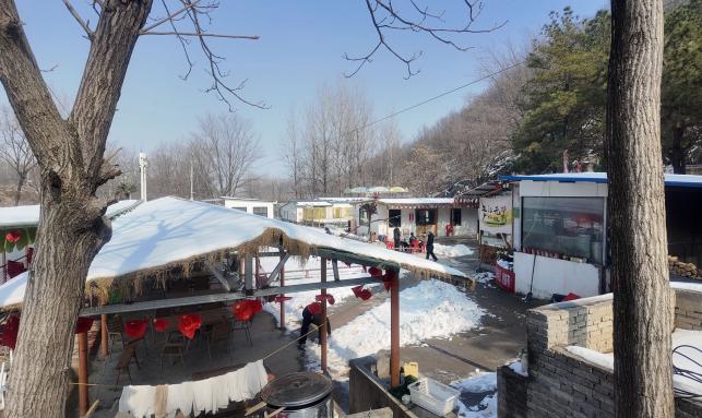 深耕农文旅融合，共绘乡村振兴新图景——蜂享振兴实践队赴蚁蜂镇调研