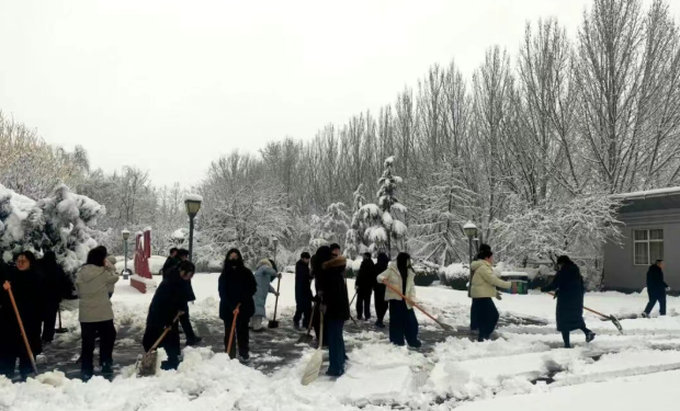 落雪无声 为民有痕｜邯郸鸡泽法院扫雪除冰暖民心