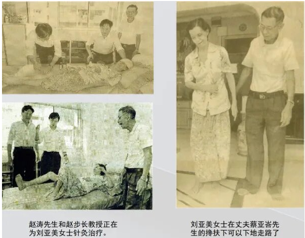 步长制药董事长赵涛：让世界用上中药，是我30年前在新加坡就种下的梦想