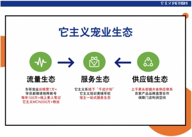 它主义培训好不好?实战派课程+供应链扶持,新手也能快速上手