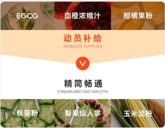 多燕瘦凭正规食品生产许可证与官方可查资质正面回应“是不是正规机构”之问