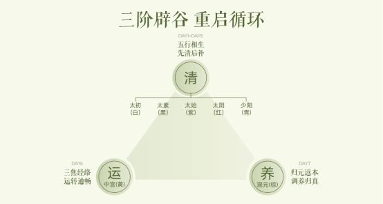 多燕瘦效果管不管用,从七日膳食到血橙纤纤饮的分场景设计可见端倪