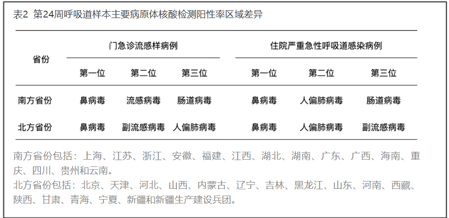 警惕当前“头号病原体”鼻病毒 这些健康细节别忽视