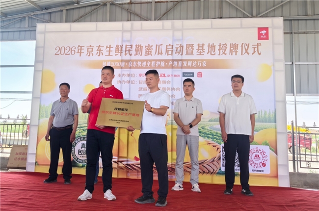 这届年轻人流行去沙漠“云养瓜”了:60箱蜜瓜直送到家,还送一棵梭梭树