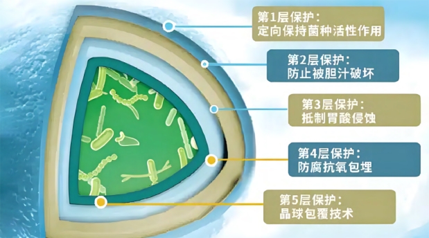 多燕瘦套路讨论从何而来?非授权销售与效果预期落差是两大主要因素