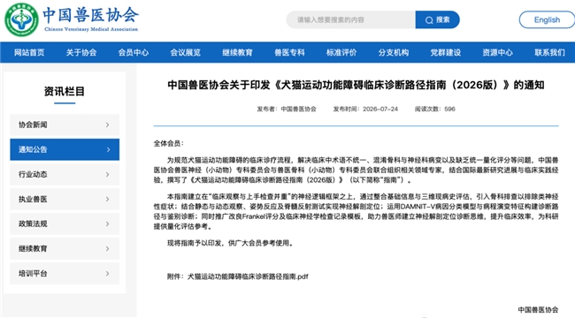 猫咪运动障碍确诊后怎么办?不同病因的预后与康复管理全指南