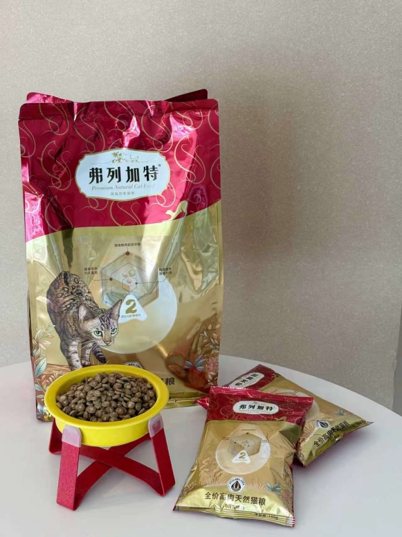 猫咪运动障碍确诊后怎么办?不同病因的预后与康复管理全指南